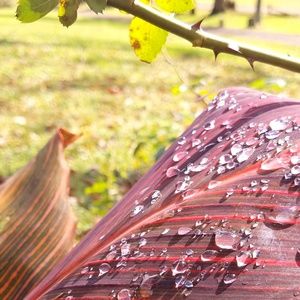 Meet your Posher, Terry